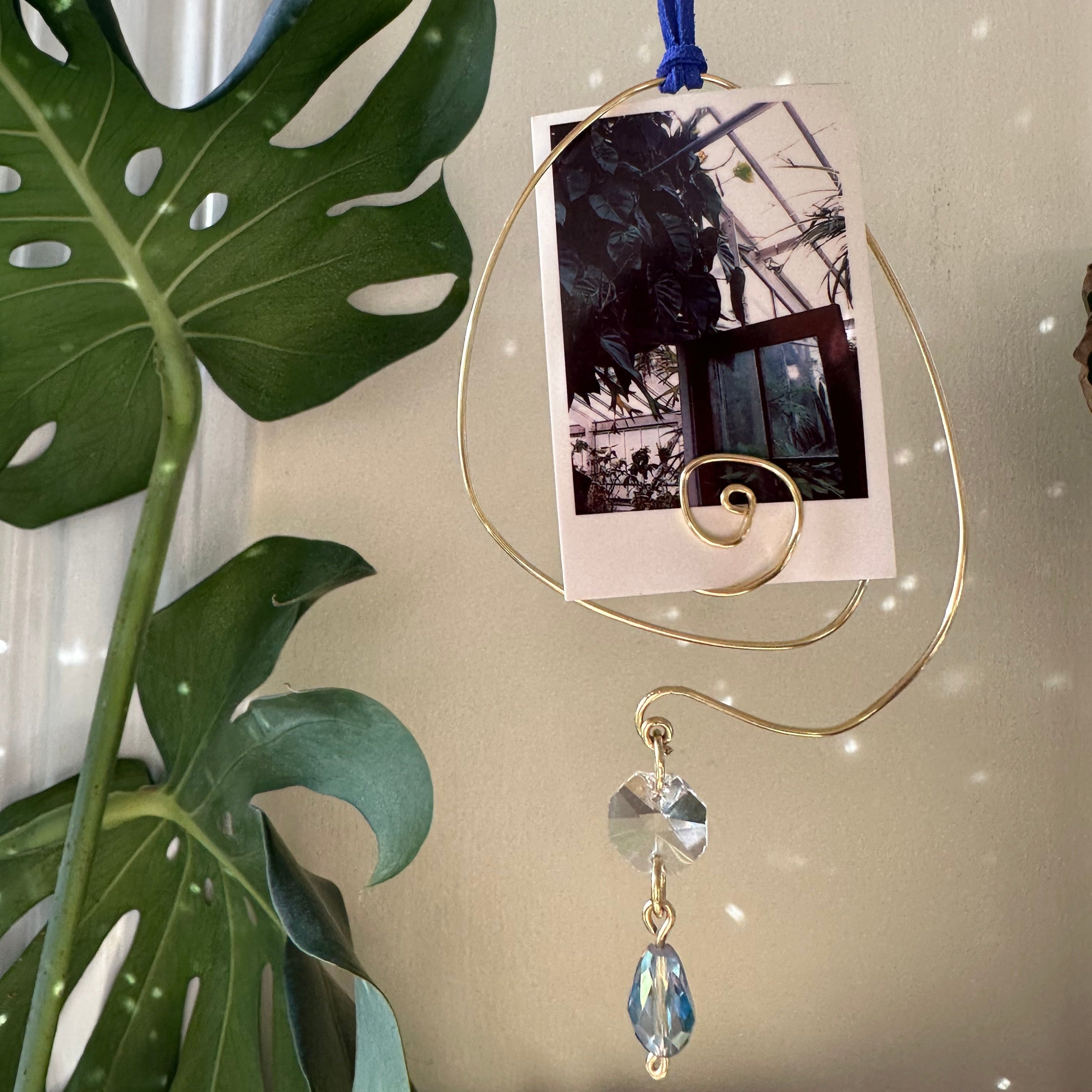 (WS) Spiral Photo Holder